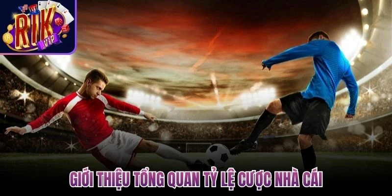 gioi thieu tong quan ty le cuoc nha cai