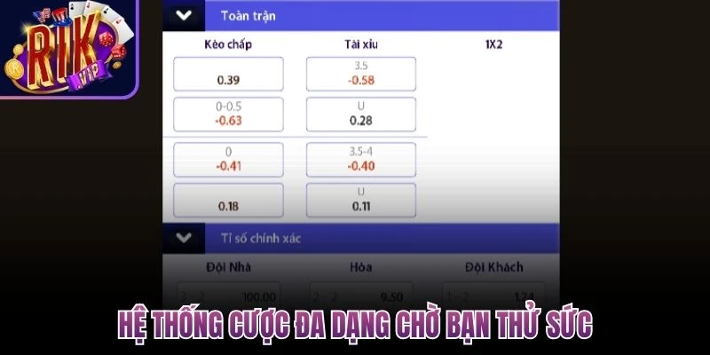 he thong cuoc da dang cho ban thu suc