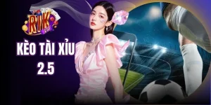 Kèo Tài Xỉu 2.5 - Hình Thức Đặt Tiền Cược Bóng Cực Chất
