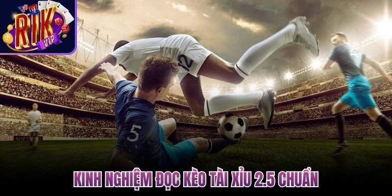 Kèo Tài Xỉu 2.5 - Hình Thức Đặt Tiền Cược Bóng Cực Chất 3 kèo tài xỉu 2.5