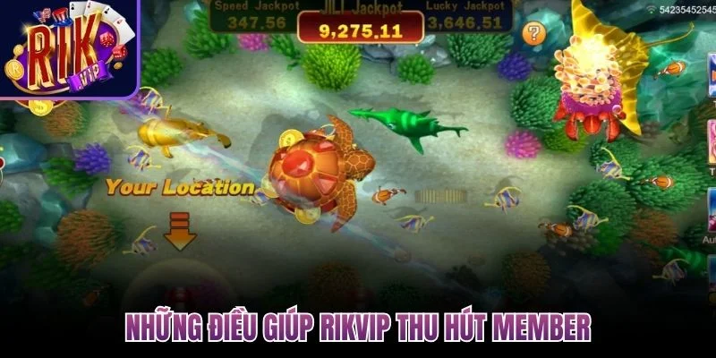 nhung dieu giup rikvip thu hut member