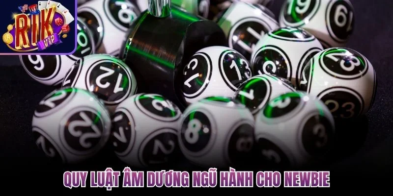 quy luat am duong ngu hanh cho newbie